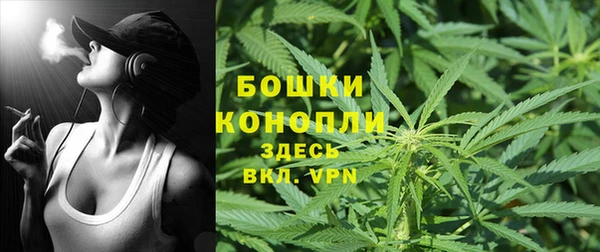 гидра Болотное