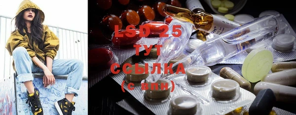 гидра Болотное