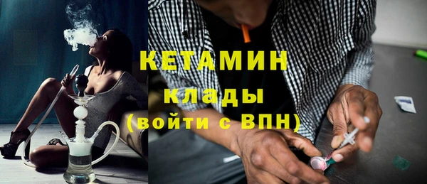 гидра Болотное