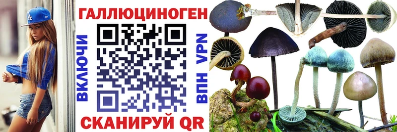Галлюциногенные грибы Cubensis сайты даркнета телеграм Нижняя Тура что такое