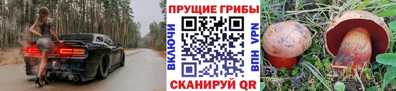 Галлюциногенные грибы ЛСД Нижняя Тура